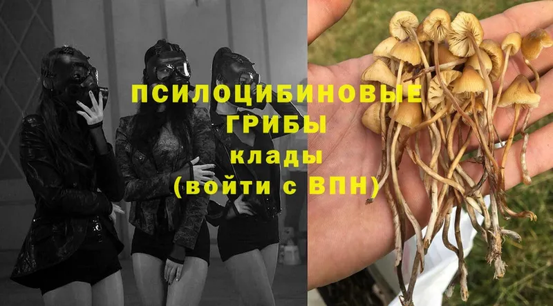 Галлюциногенные грибы Magic Shrooms Нытва